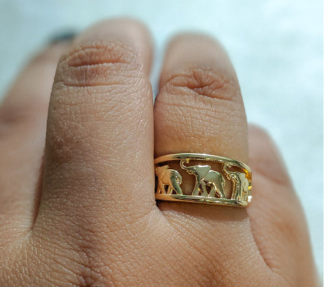 Plated Elephant Ring